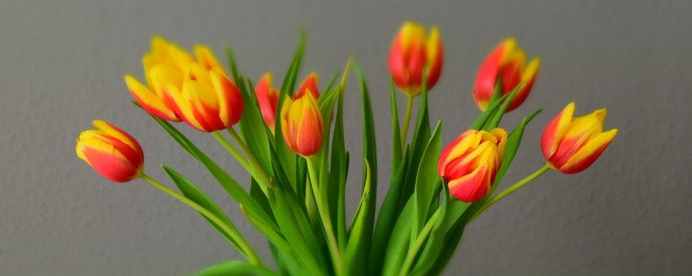 Best Flowers to Give on Easter - Shalimar Flower Shop