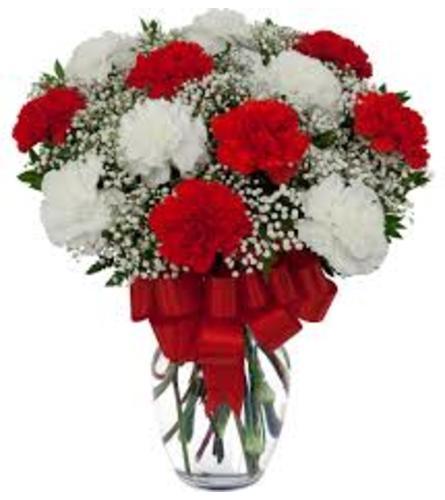 Classic Red and White Carnation in Vase - Shalimar Flower Shop