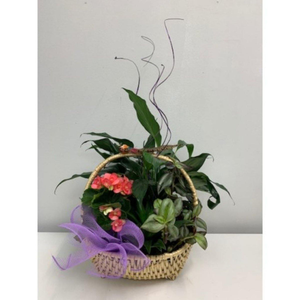 Everyday Special Planter Basket - Shalimar Flower Shop