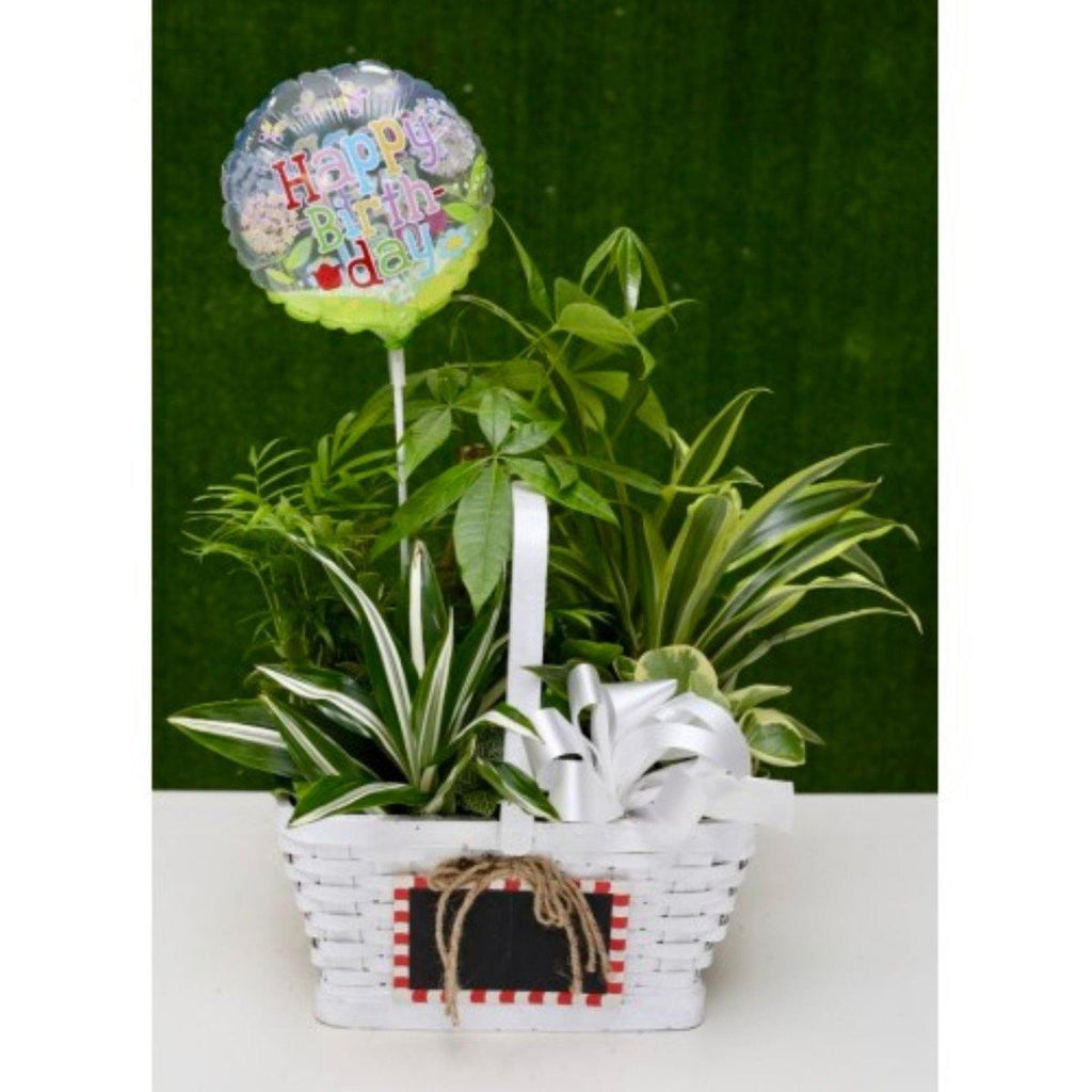Fresh Country Garden Basket with 'Happy Birthday' Balloon - Shalimar Flower Shop