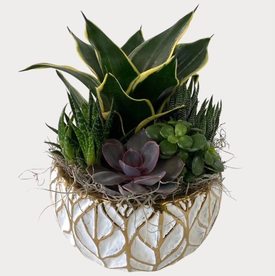 gold succulent planter Gold-Leaf Succulent Planter