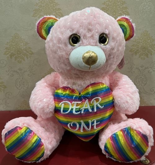 Pink Teddy with Rainbow Heart - Shalimar Flower Shop