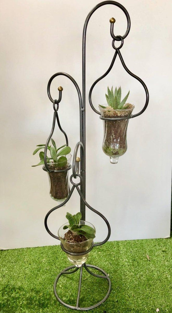 Triple Hanging Plants - Shalimar Flower Shop