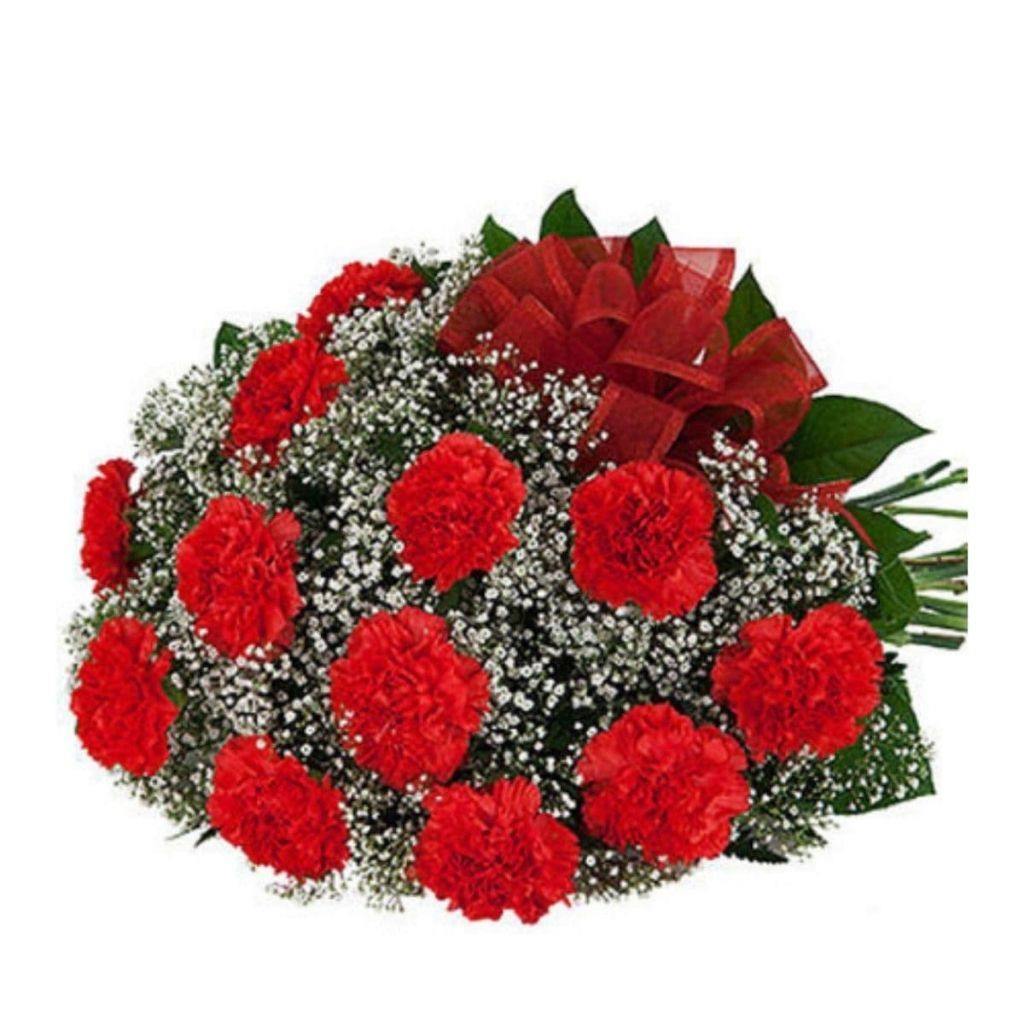 Twelve Red Carnations 2019 - Shalimar Flower Shop