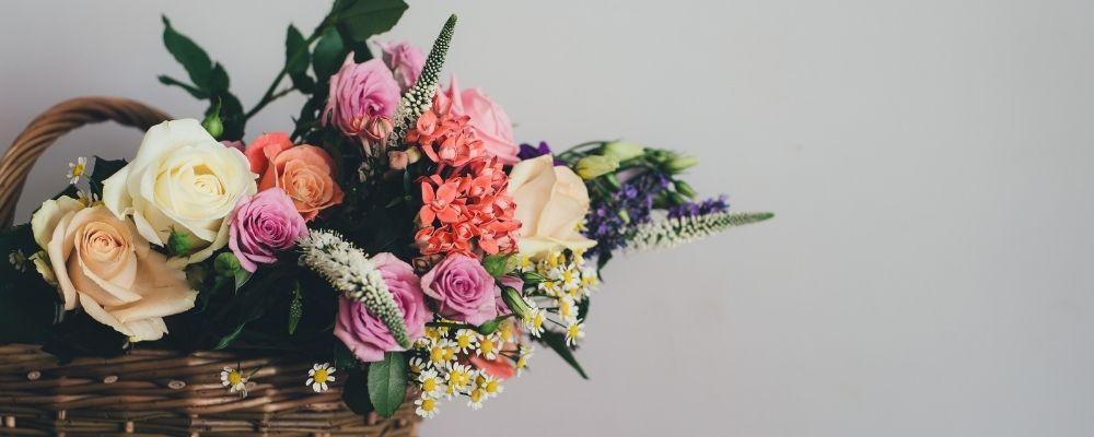 Everything You Need to Know About Flower Care - Shalimar Flower Shop
