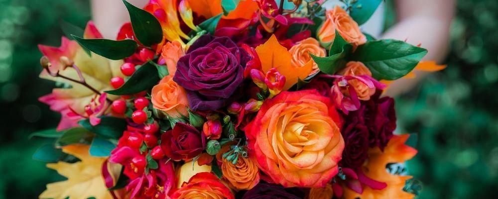 Our Seasonal Floral Guide - Summer Flowers - Shalimar Flower Shop