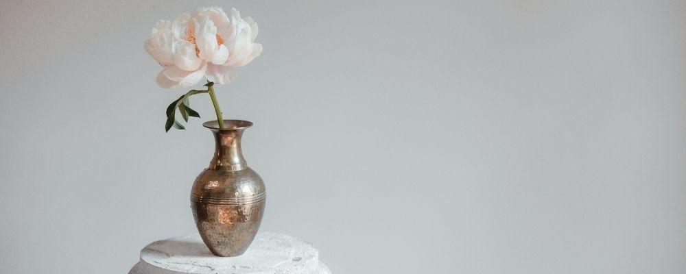 Unique Flower Vases to use when Displaying Flowers - Shalimar Flower Shop