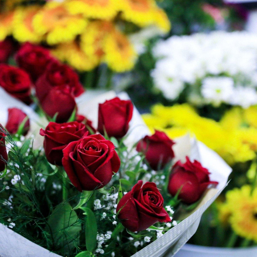 I'm Sorry Flowers - Shalimar Flower Shop