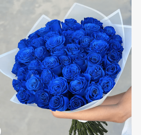 50 Premium Blue Rose Bouquet - Shalimar Flower Shop