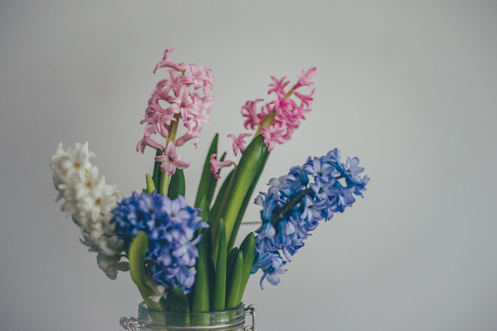 Flowers for Birthdays | Brampton, ON Florist