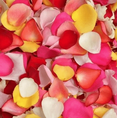 Rose Petals - Shalimar Flower Shop