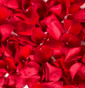 Rose Petals - Shalimar Flower Shop
