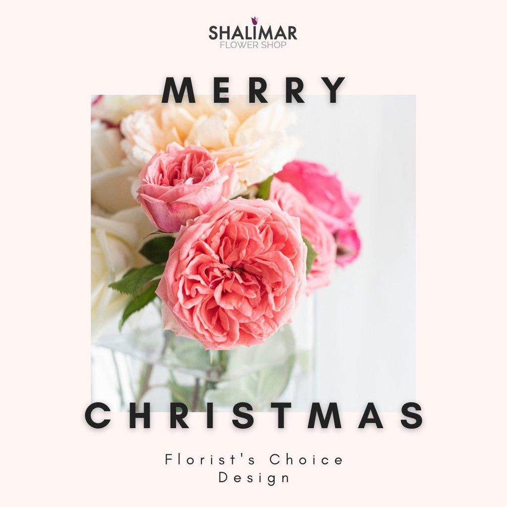 A Merry Christmas Artist's Design - Shalimar Flower Shop
