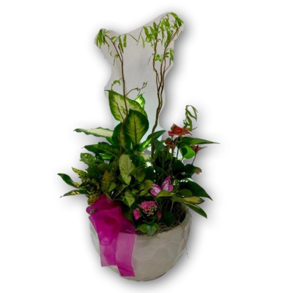 Beautiful Pink & Green Planter - Shalimar Flower Shop