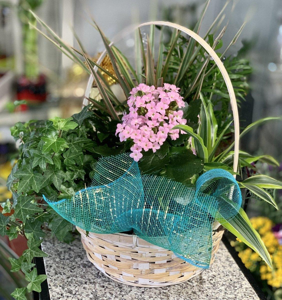 Blooming garden basket - Shalimar Flower Shop