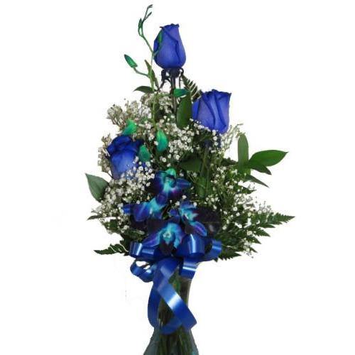 'Blue Without You' Rose Arrangement - Shalimar Flower Shop