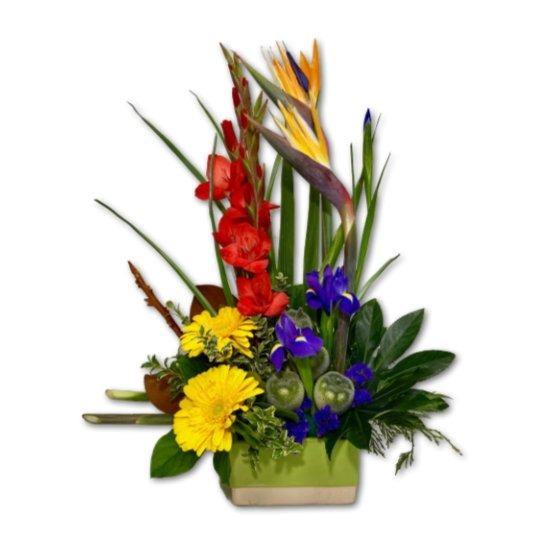 Bold & Beautiful Colourful Flower Arrangement - Shalimar Flower Shop