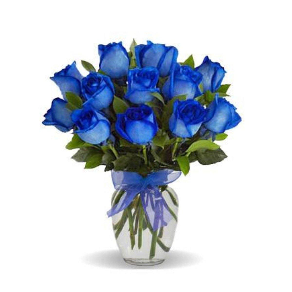 Blue Roses Single Tudor Rose (Short Stem) Navy Blue Village Green