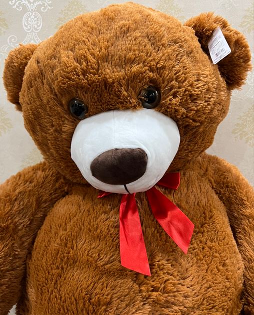 Brown Teddy Bear Large - Shalimar Flower Shop