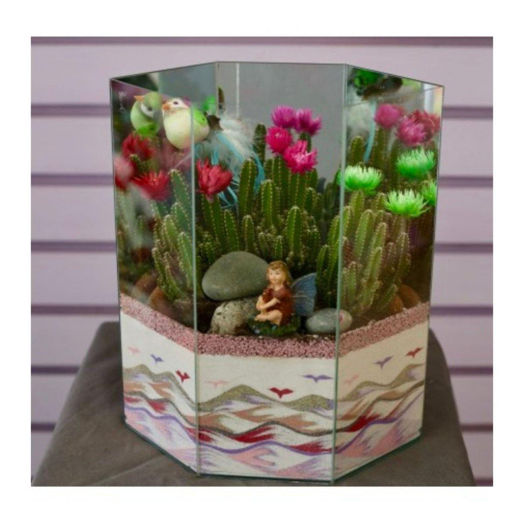 Cactus Paradise Dish Garden - Shalimar Flower Shop