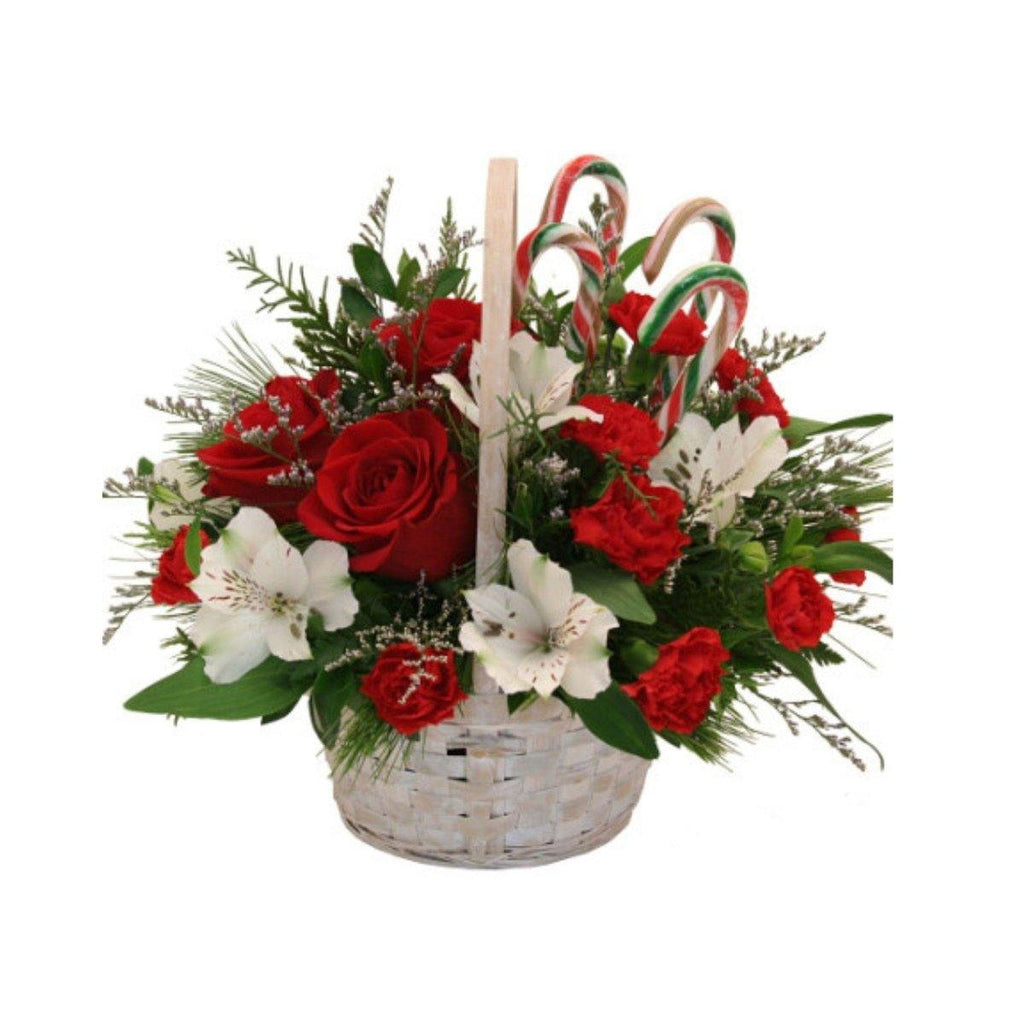 Candy Cane Christmas Delight - Shalimar Flower Shop