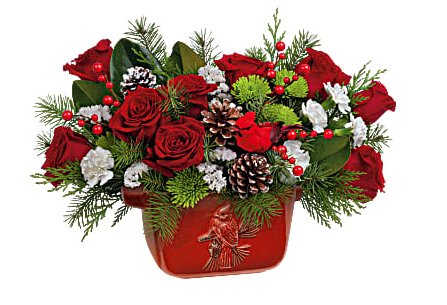 Classic Christmas Cardinal Centerpiece - Shalimar Flower Shop