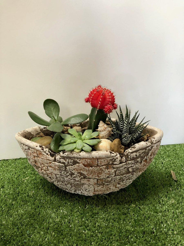 Cobblestone Dish Garden - Shalimar Flower Shop