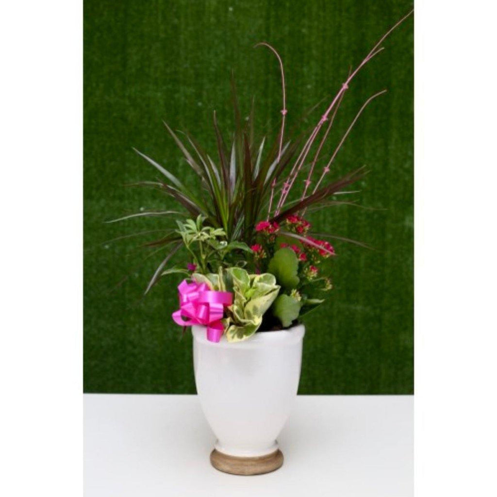 Delightful Tower Dish Garden - Shalimar Flower Shop