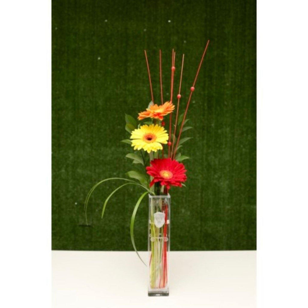 Gerbera Daisies in a Premium Polish Vase - Shalimar Flower Shop