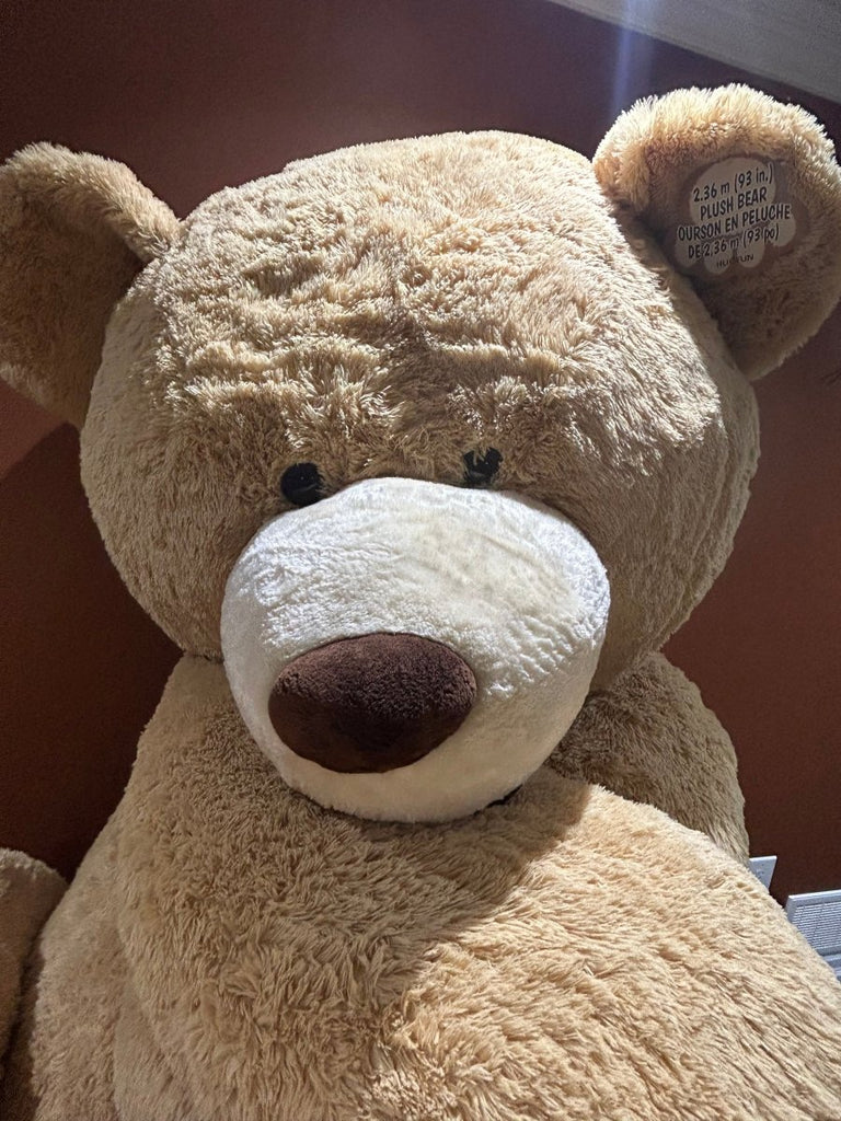 Giant Beige Teddy Bear - Pickup Only - Shalimar Flower Shop