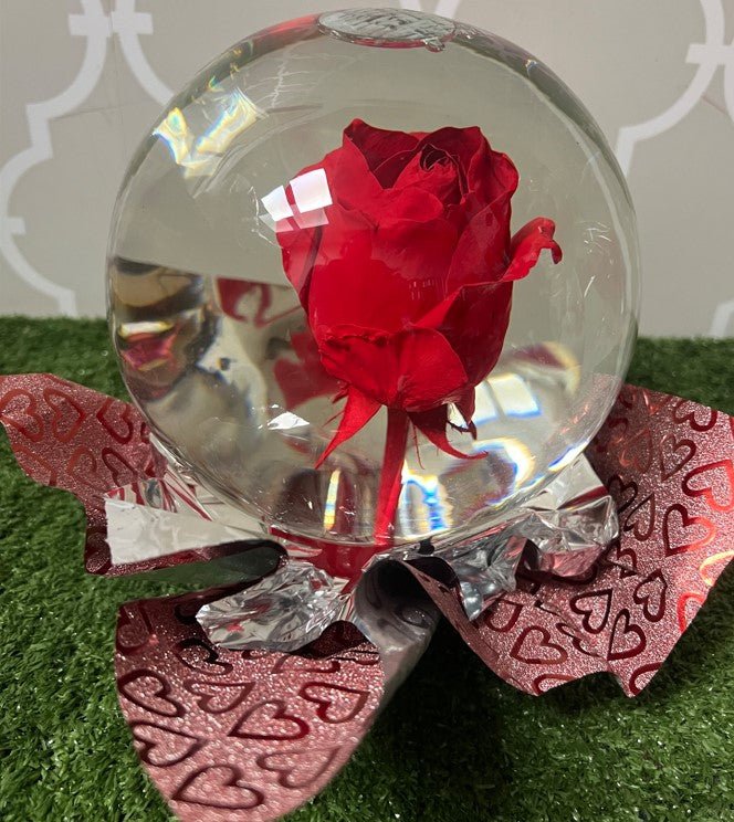 Glass Globe Teddy and Balloon Combo - Shalimar Flower Shop