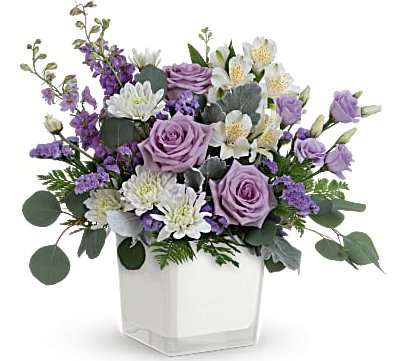 Honey Lavender Blooms - Shalimar Flower Shop