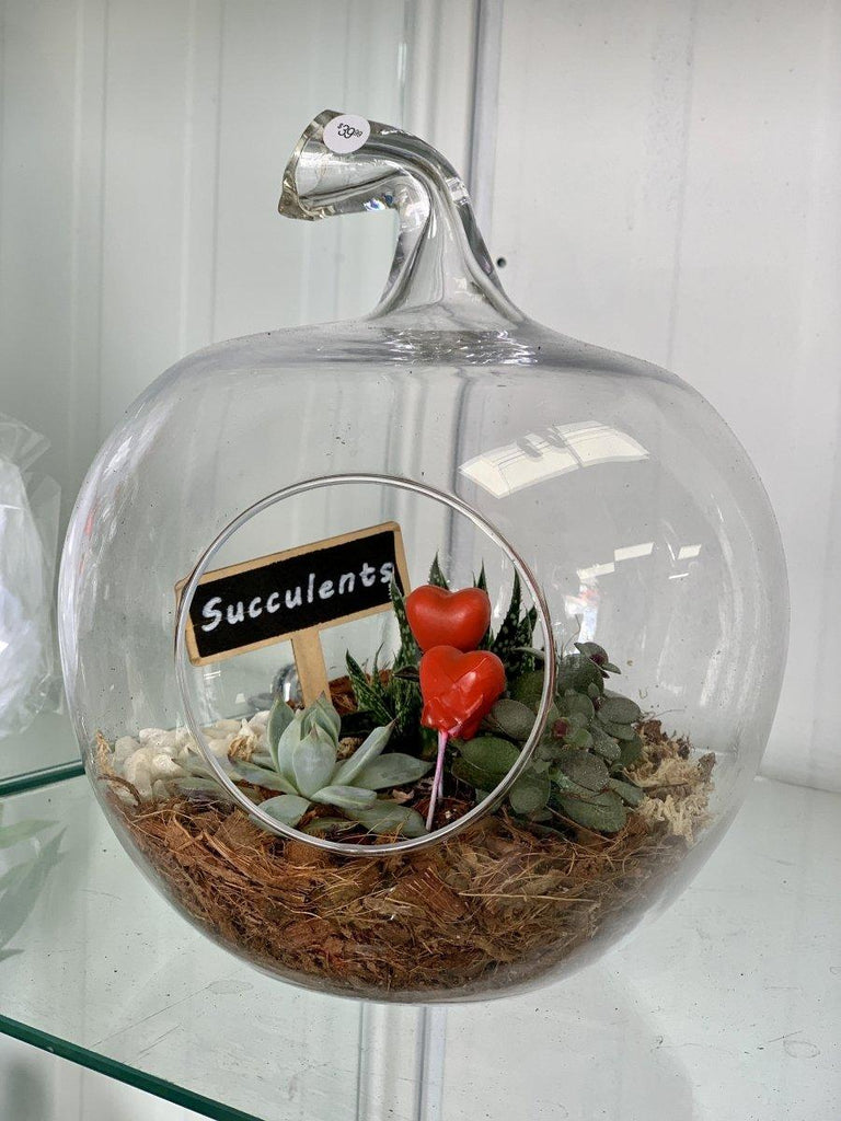 I ❤️ Succulents - Shalimar Flower Shop
