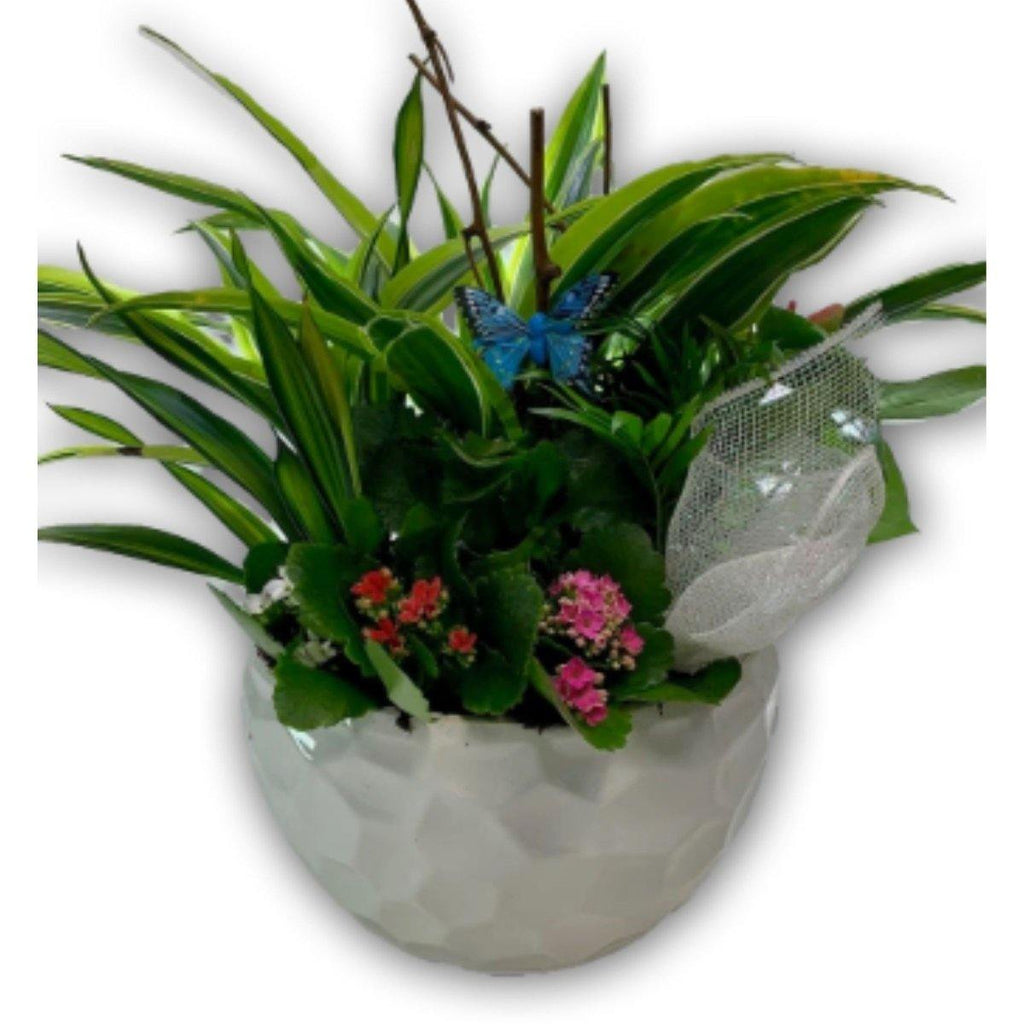 Magical Garden Planter - Shalimar Flower Shop