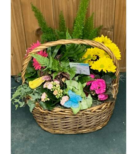 Mother's Day Special Dish Garden - Shalimar Flower Shop