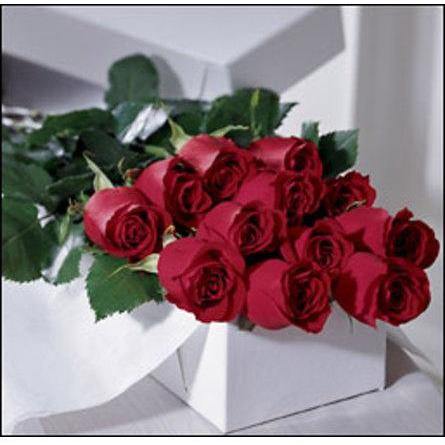 One Dozen Roses Boxed - Shalimar Flower Shop