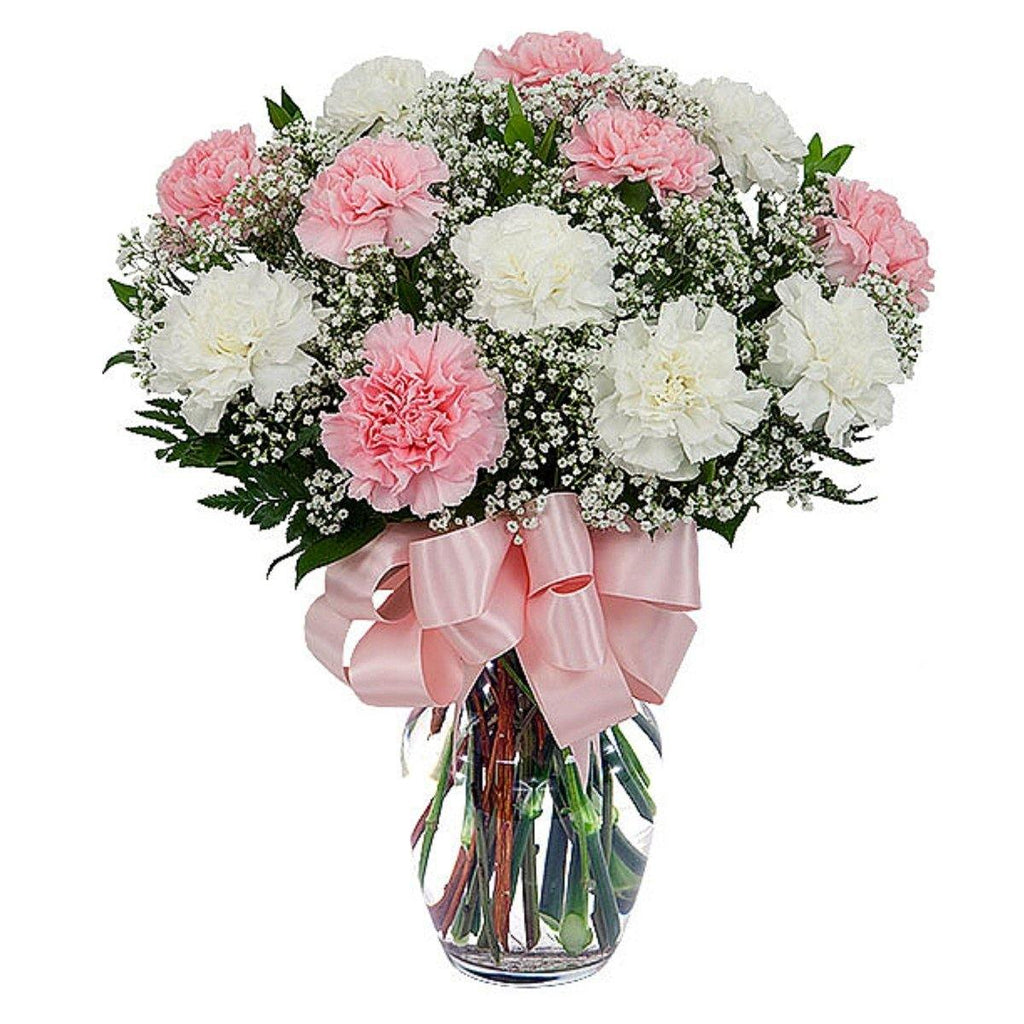 Pretty Carnations - Shalimar Flower Shop