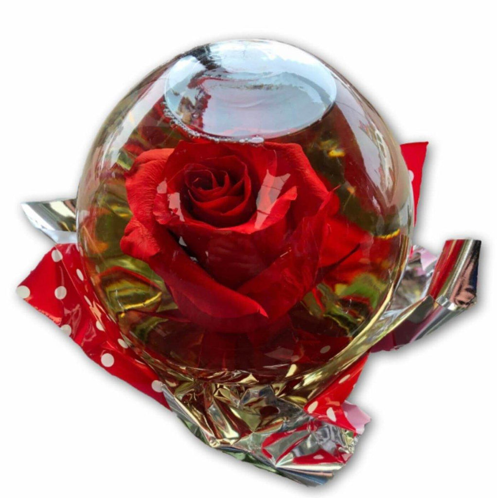 Regal Rose in Glass globe - Shalimar Flower Shop