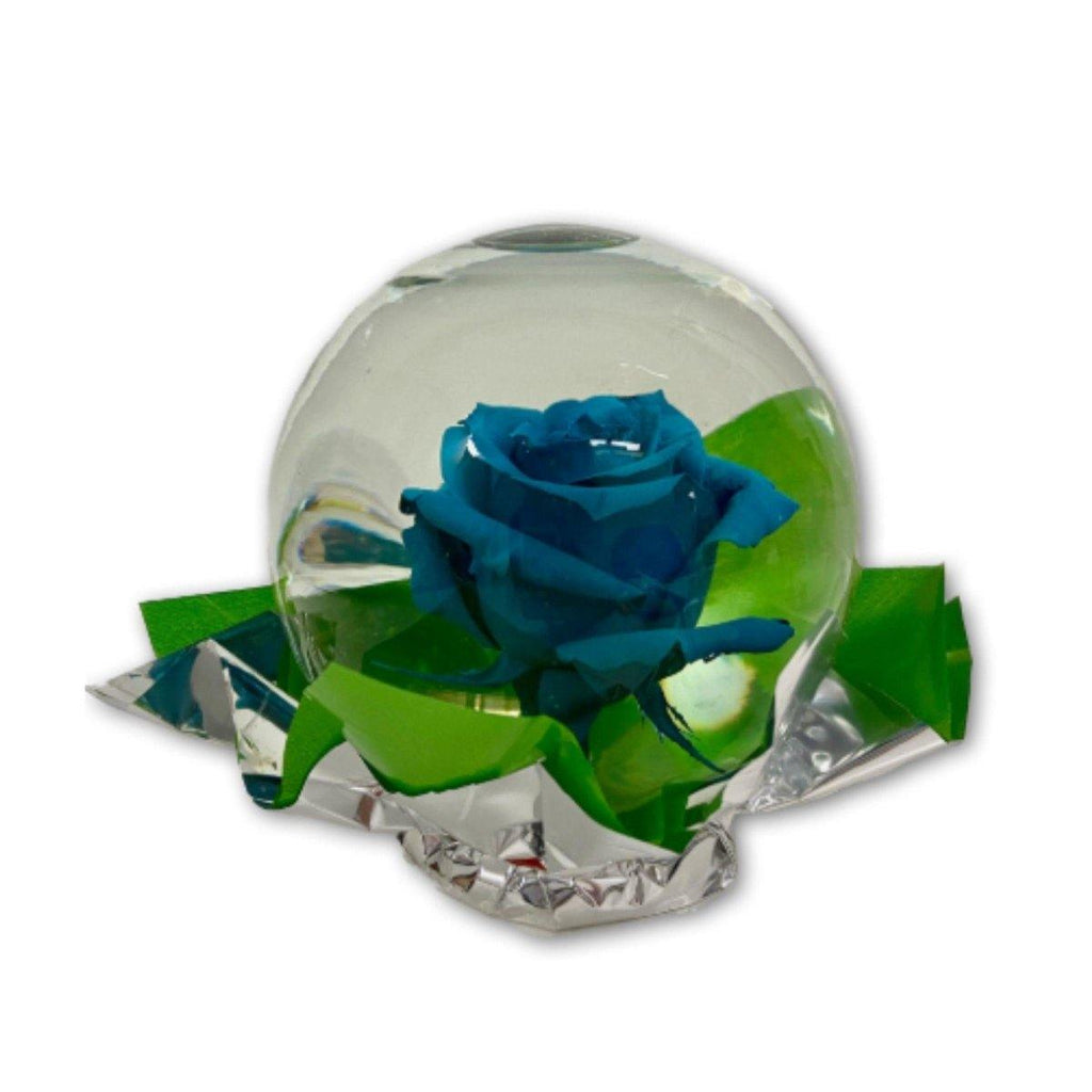 Regal Rose in Glass globe - Shalimar Flower Shop