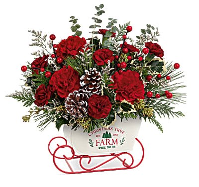 Snow What Fun Bouquet 2023 - Shalimar Flower Shop