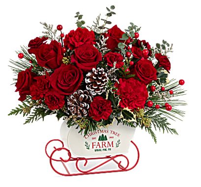 Snow What Fun Bouquet 2023 - Shalimar Flower Shop