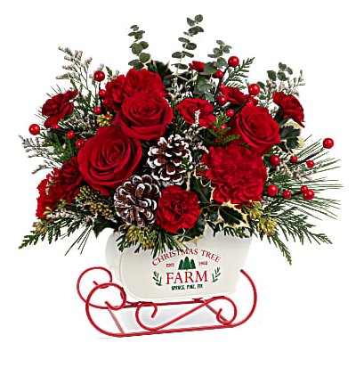 Snow What Fun Bouquet 2023 - Shalimar Flower Shop