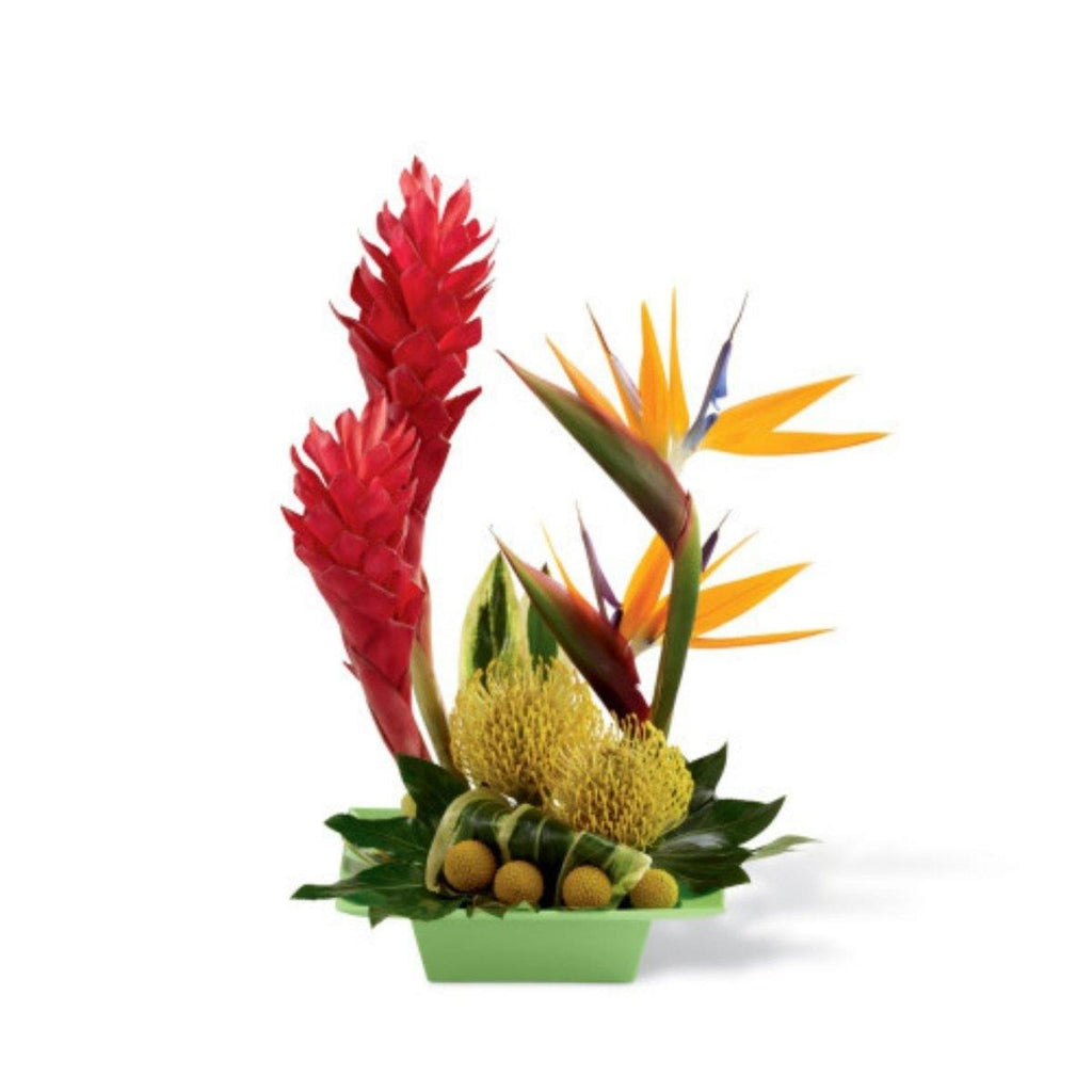 The FTD® Exotica Arrangement - Shalimar Flower Shop