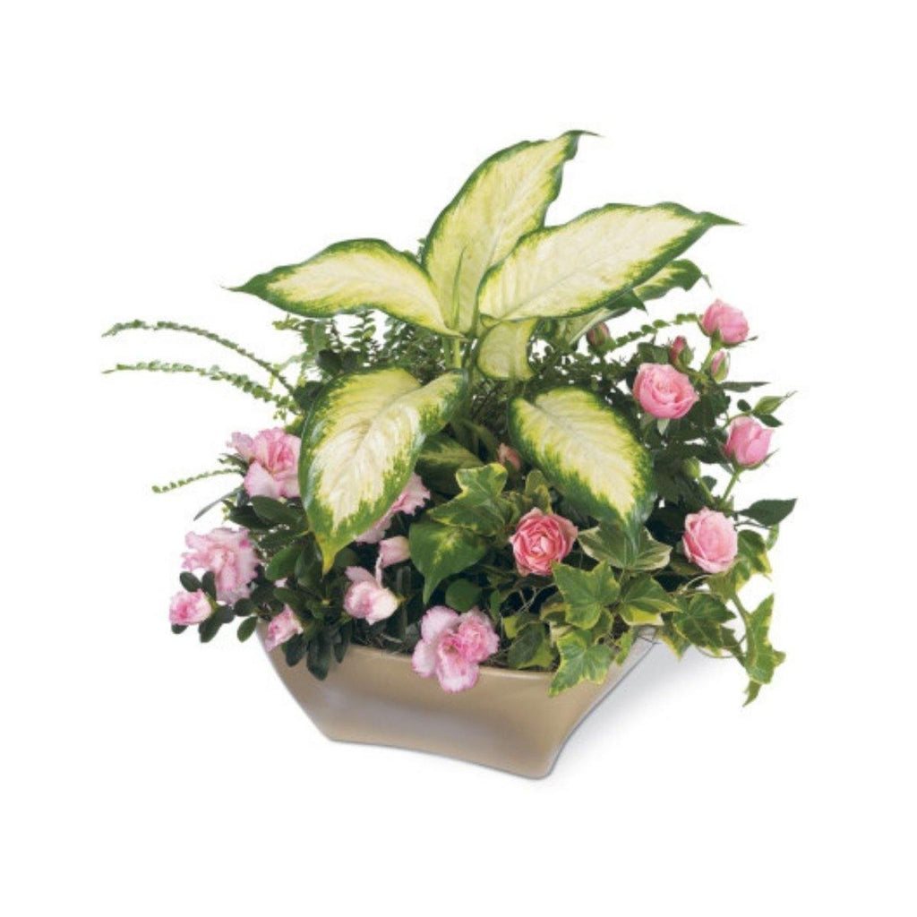 The FTD® Garden of Grace Planter - Shalimar Flower Shop