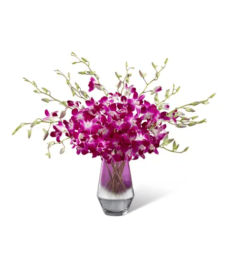 The FTD® Pink at Heart™ Orchid Bouquet - Shalimar Flower Shop