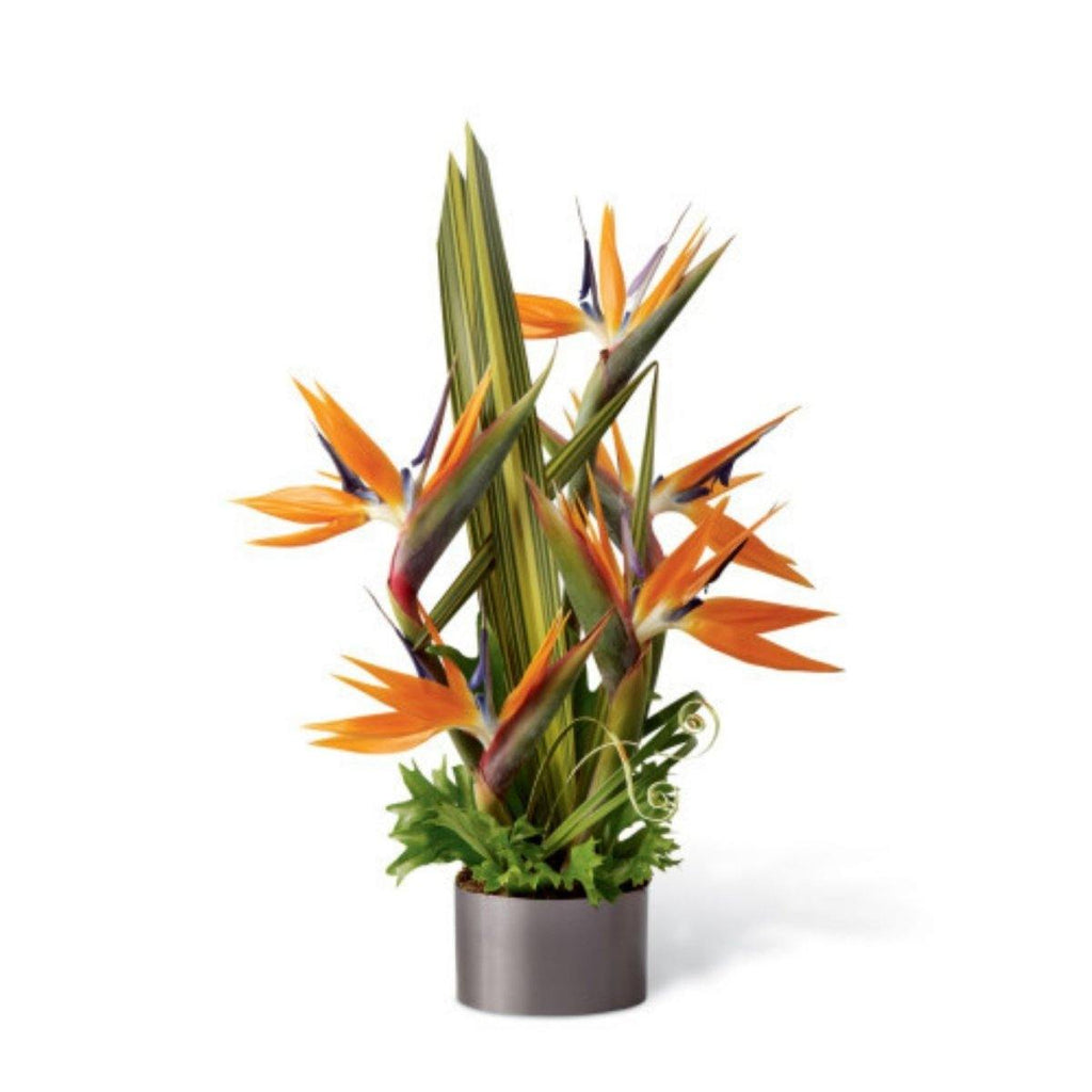 The FTD® Tropical Bright Arrangement - Shalimar Flower Shop