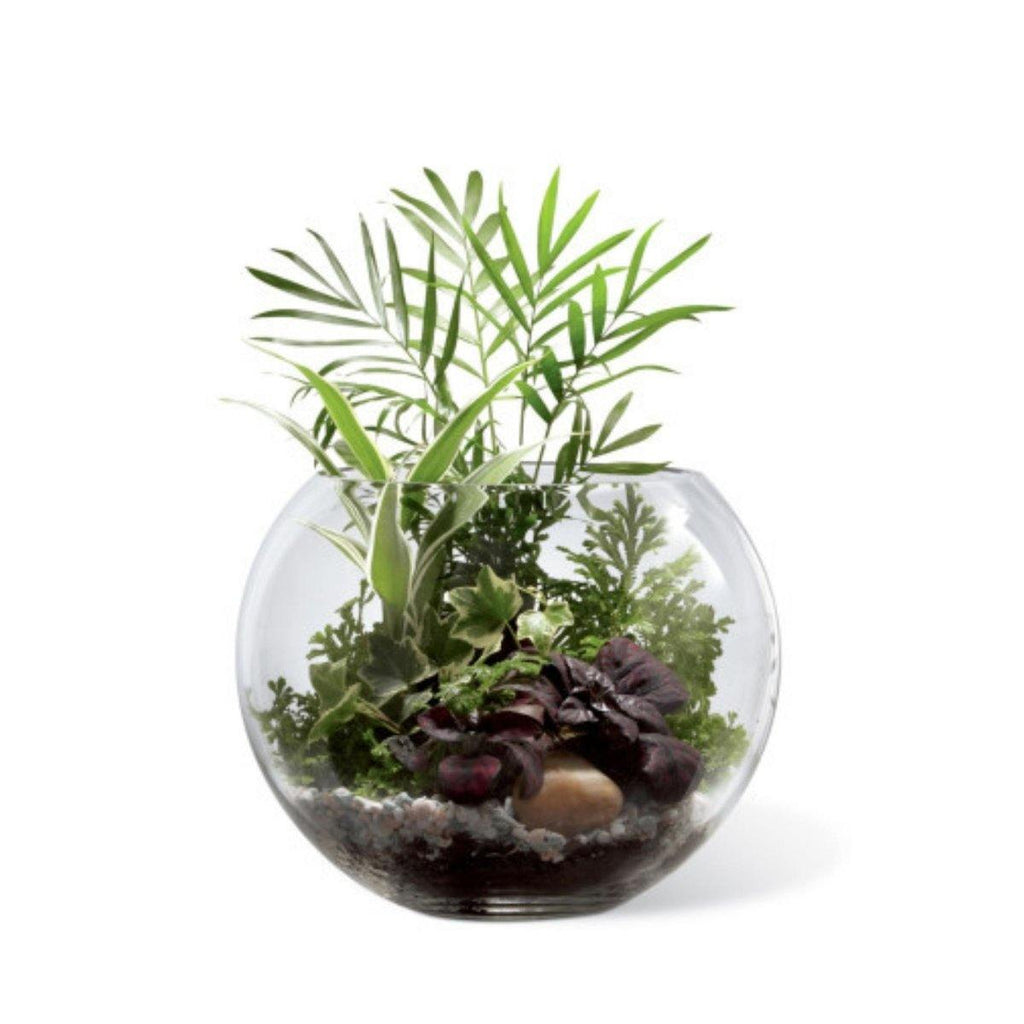 The FTD® Woodland Greens Terrarium - Shalimar Flower Shop