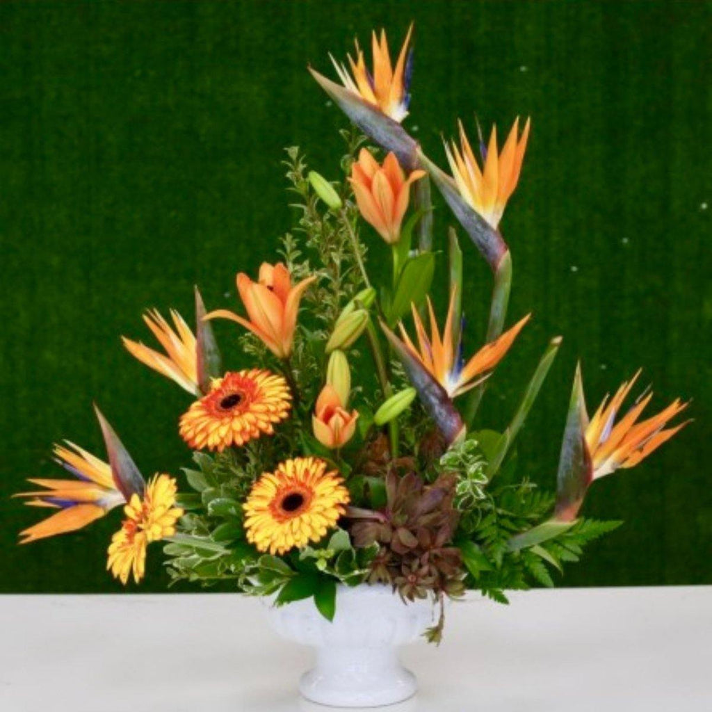 Tropical Bird of Paradise Floral Arrangement - Shalimar Flower Shop
