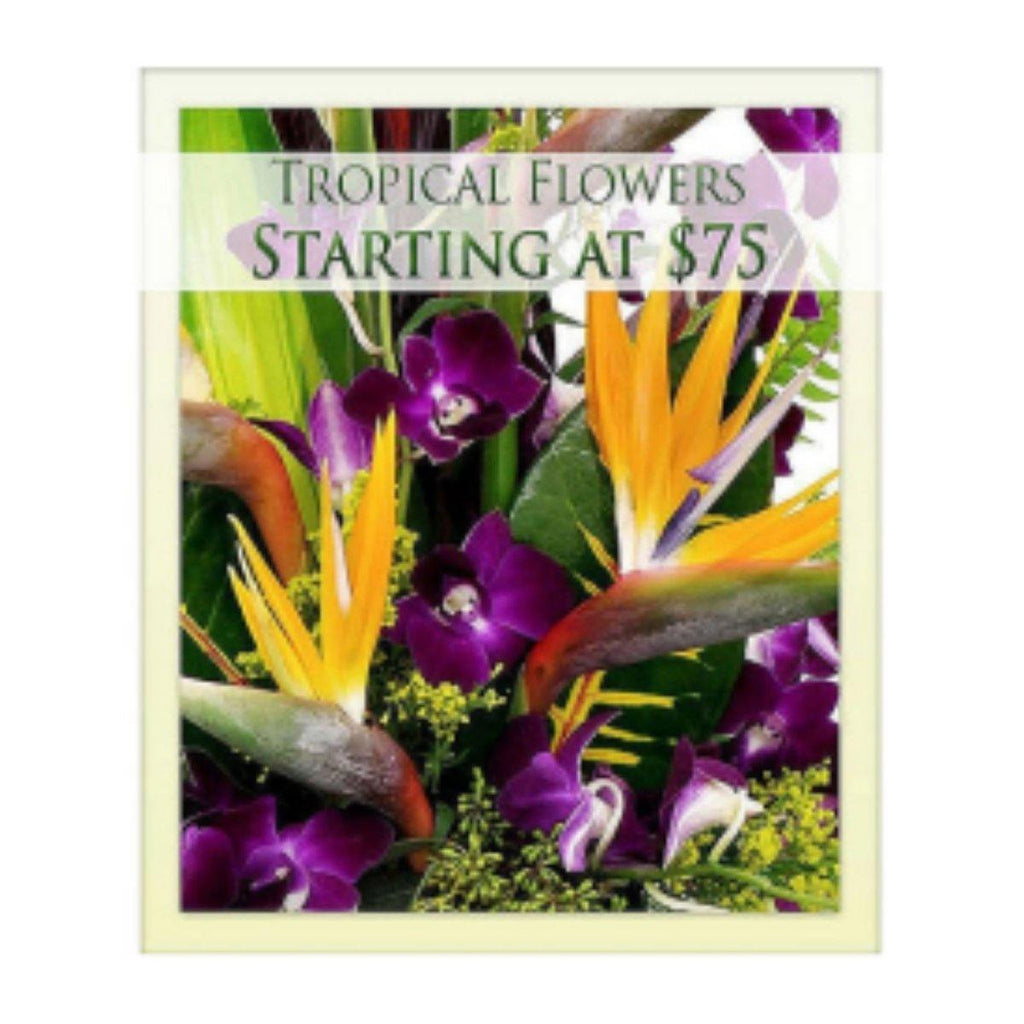 Tropical Designers Choice - Shalimar Flower Shop