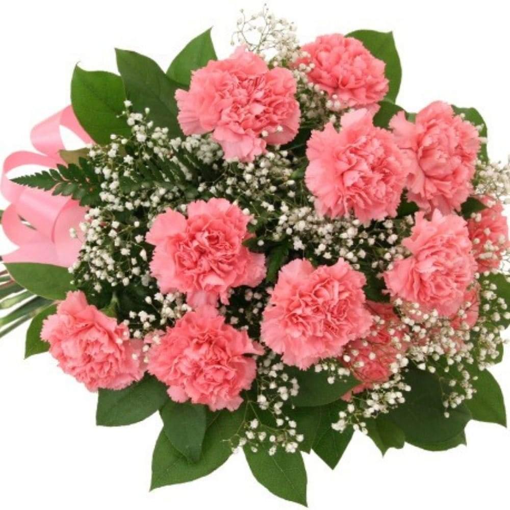 Twelve Pink Carnations Bouquet 2019 - Shalimar Flower Shop